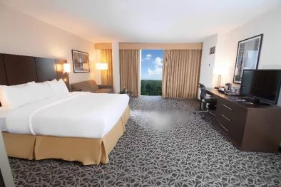Marietta Vitality Hotel, Deluxe King Room-3