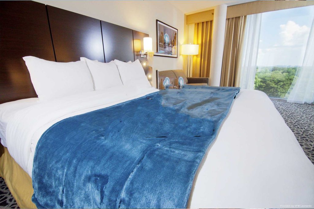 Marietta Vitality Hotel, Deluxe King Room-6
